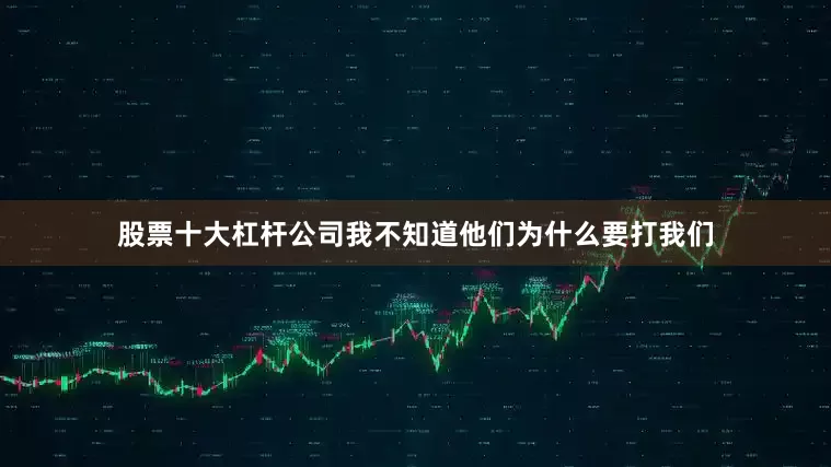 股票十大杠杆公司我不知道他们为什么要打我们