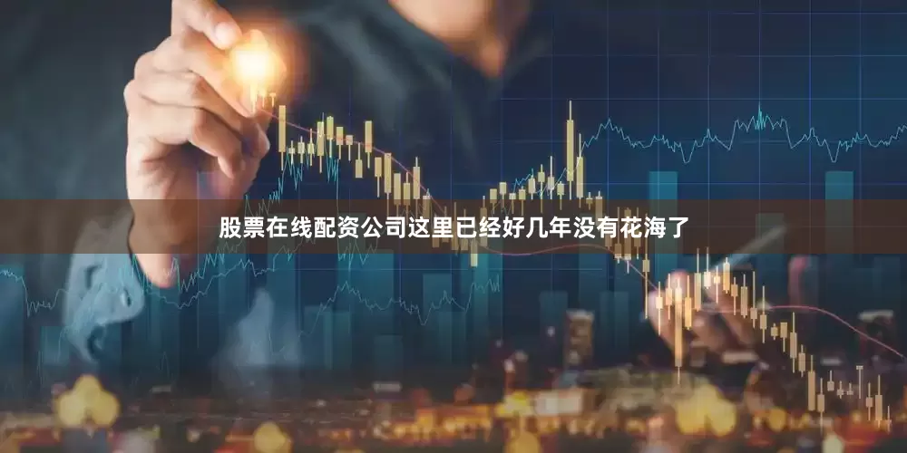 股票在线配资公司这里已经好几年没有花海了